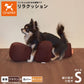 OneAid リラクッション 撥水カバーセット 超小型犬～小型犬用 S 本体：ブラウン カバー：オレンジ