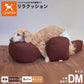 OneAid リラクッション 撥水カバーセット 小型短足犬用 DM 本体：ブラウン カバー：オレンジ