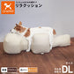 OneAid リラクッション 撥水カバーセット 中大型短足犬用 DL 本体：ブラウン カバー：オレンジ