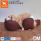 OneAid リラクッション 撥水カバーセット 小型短足犬用 DM 本体：ブルー カバー：ピンク