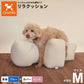 OneAid リラクッション 撥水カバーセット 中型犬用 M 本体：ブルー カバー：ピンク