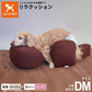 OneAid リラクッション 撥水カバーセット 小型短足犬用 DM 本体：ベージュ カバー：ピンク