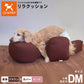 OneAid リラクッション 撥水カバーセット 小型短足犬用 DM 本体：ブラウン カバー：ピンク