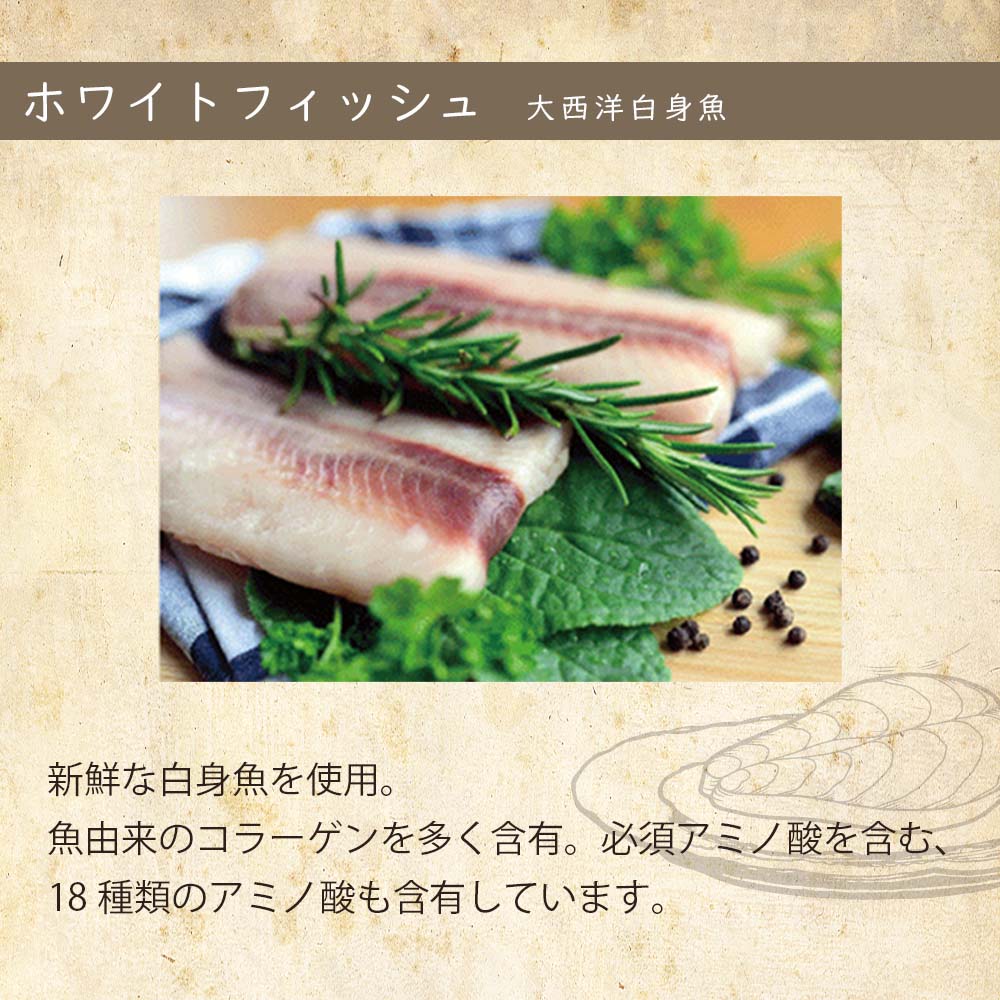 オーブンベークド トラディション OVEN-BAKED TRADITION キャットフード セミモイスト フィッシュ 100g