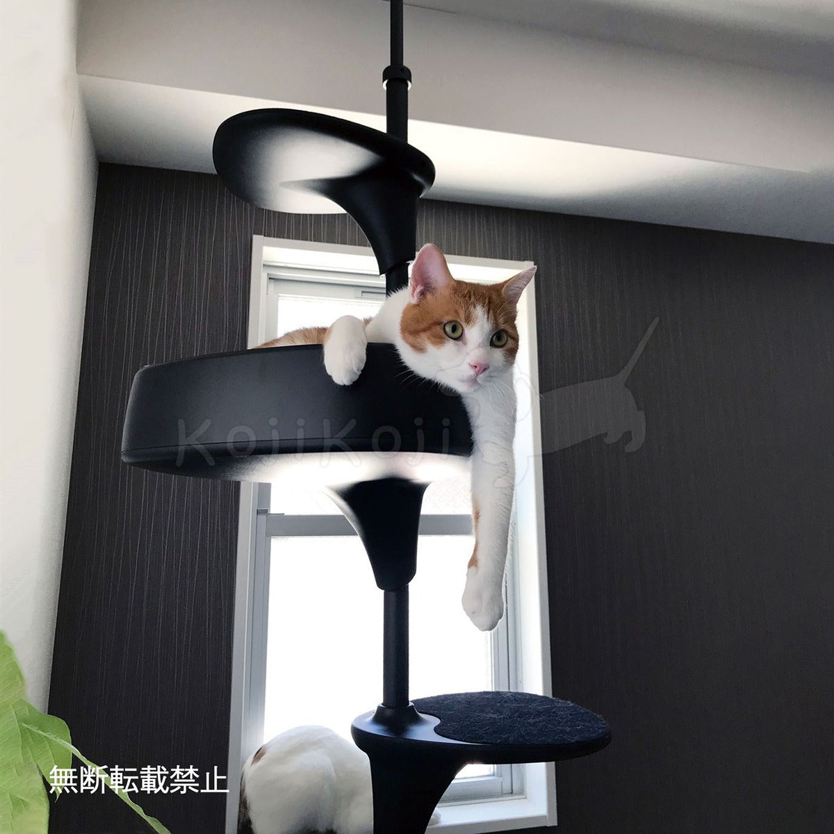【レビュー特典あり】OPPO オッポ キャットフォレスト ツー CatForest-2 ホワイト 猫 キャットタワー 突っ張り スリム 省スペース おしゃれ ネコ用品