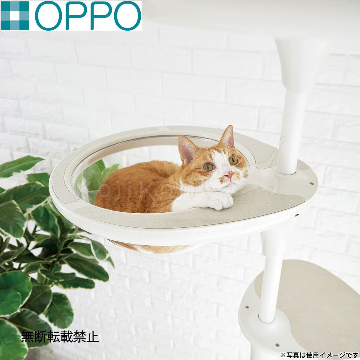 OPPO オッポ キャットフォレスト2用オプション ClearBowl クリアボウル ホワイト