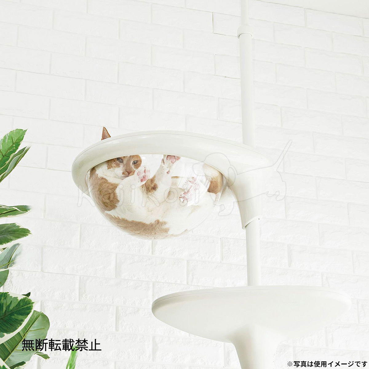 OPPO オッポ キャットフォレスト2用オプション ClearBowl クリアボウル ホワイト