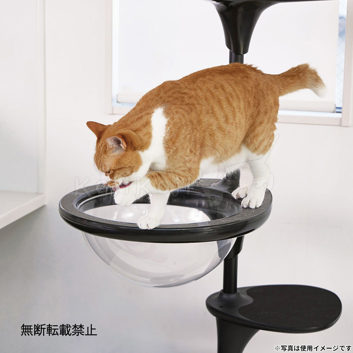 OPPO オッポ キャットフォレスト2用オプション ClearBowl クリアボウル ホワイト