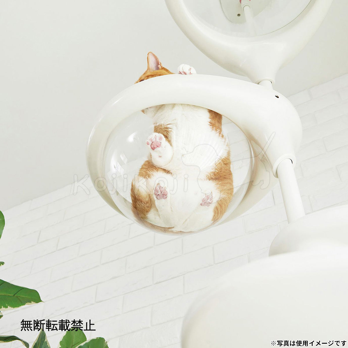 OPPO オッポ キャットフォレスト2用オプション ClearBowl クリアボウル ブラック