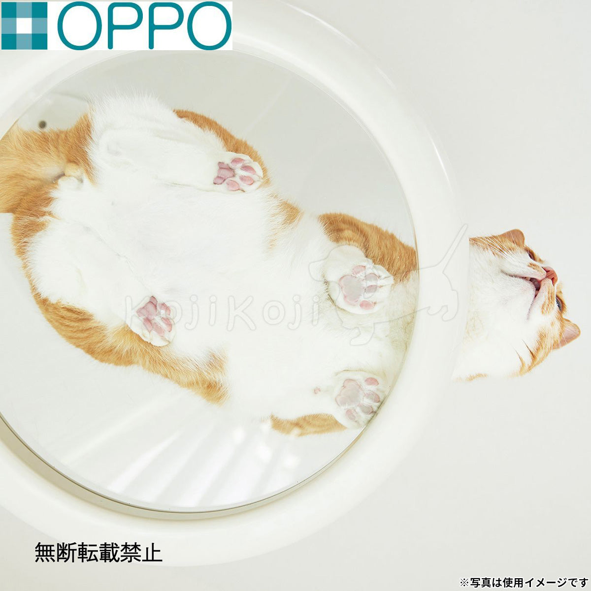 OPPO オッポ キャットフォレスト2用オプション ClearShelf クリアシェルフ ホワイト