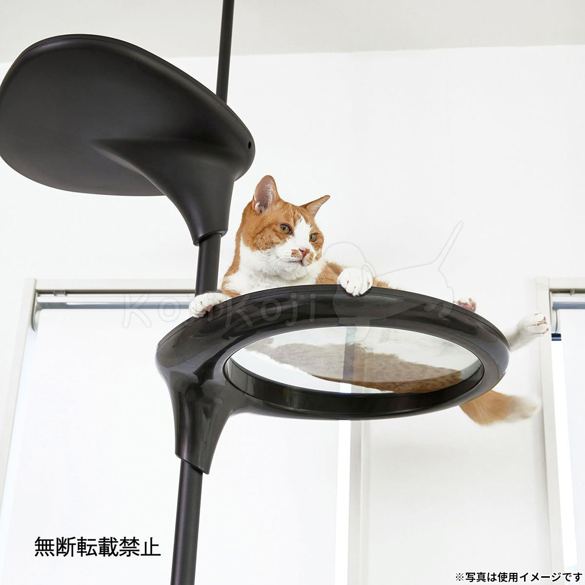 OPPO オッポ キャットフォレスト2用オプション ClearShelf クリアシェルフ ホワイト