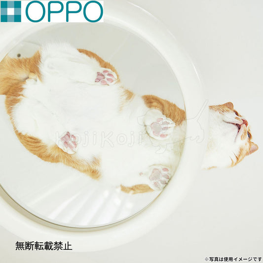 OPPO オッポ キャットフォレスト2用オプション ClearShelf クリアシェルフ ホワイト