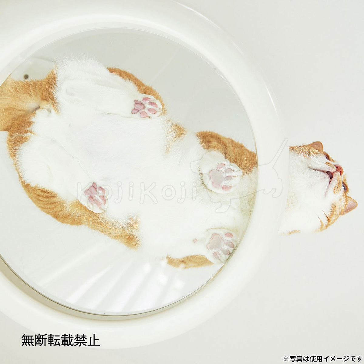 OPPO オッポ キャットフォレスト2用オプション ClearShelf クリアシェルフ ブラック