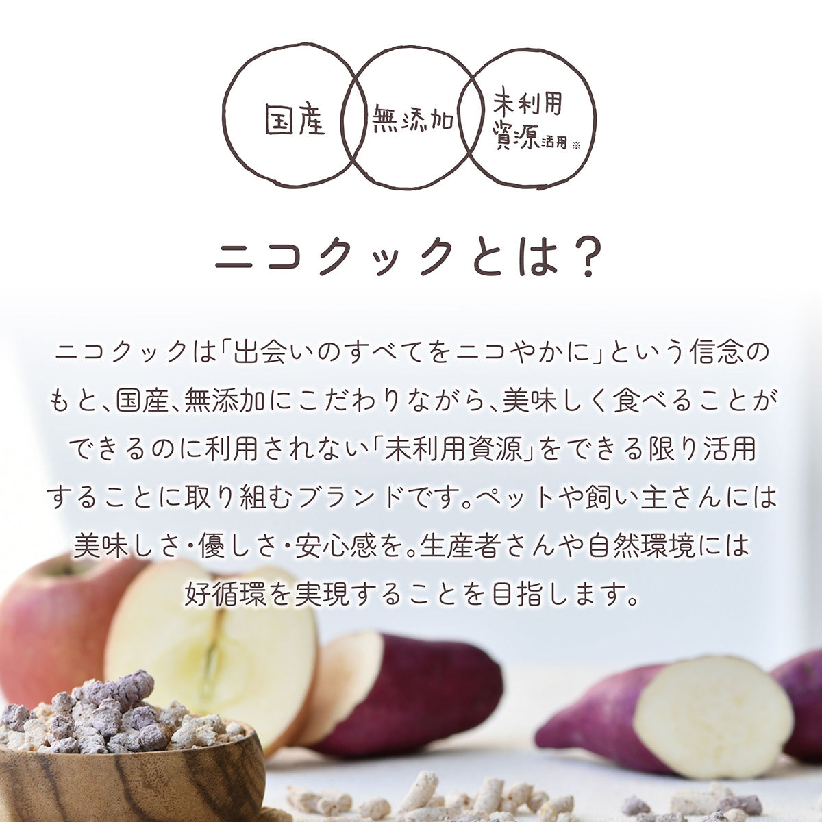 nico cook ニコクック 国産ジビエ鹿背骨チップス 犬用おやつ 18g