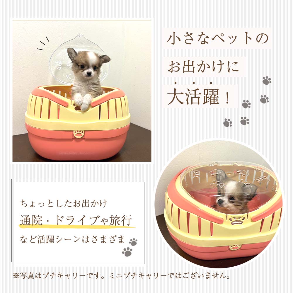 ファンタジーワールド ミニプチキャリー グリーン 子犬 子猫 小動物 鳥