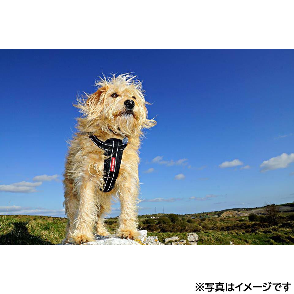 イージードッグ EZYDOG ハーネス XL ブラック【送料無料】