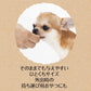 ペティオ 犬用おやつ 素材そのまま 完全無添加 フリーズドライ 蒸しササミ 27g