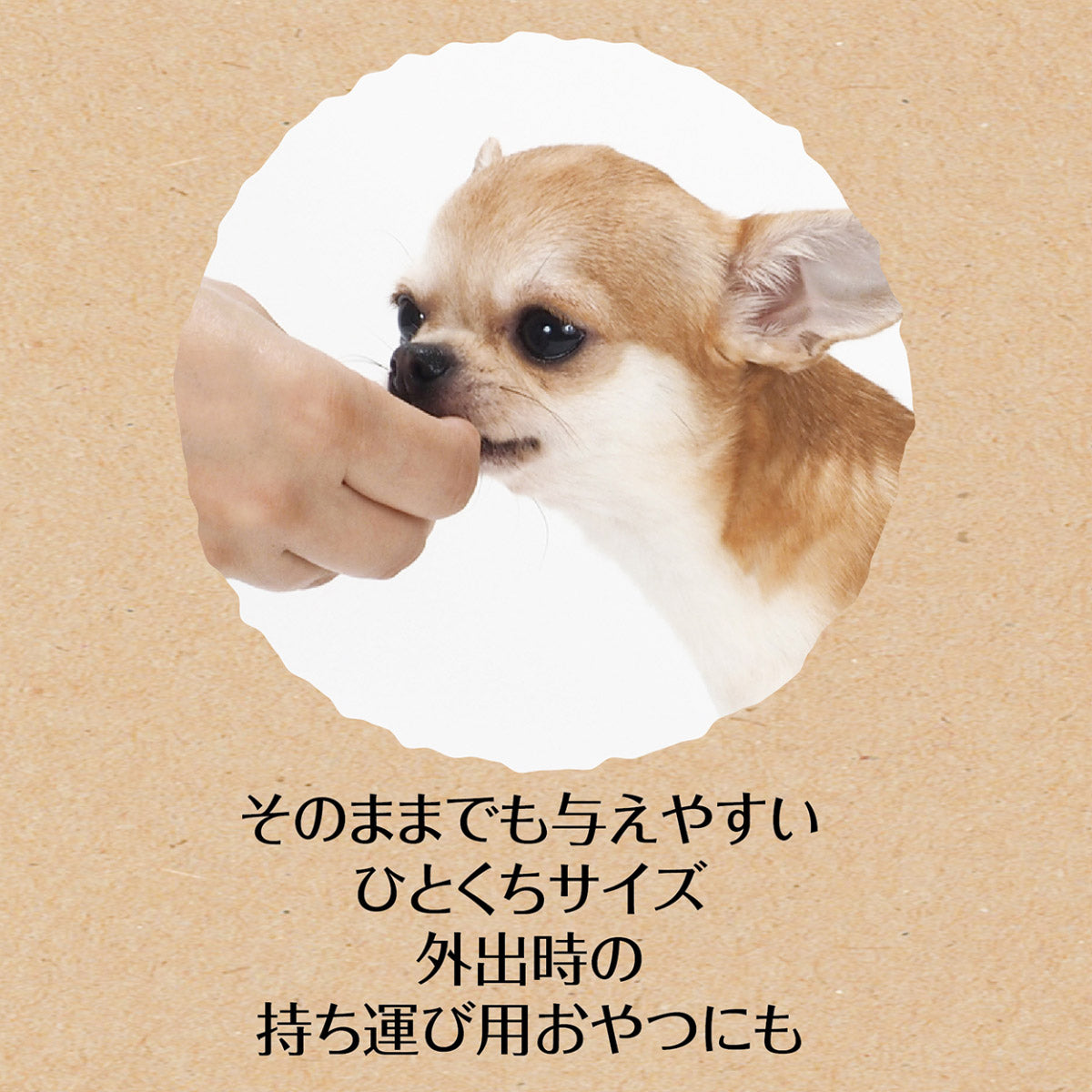 ペティオ 犬用おやつ 素材そのまま 完全無添加 フリーズドライ 蒸しササミ 27g