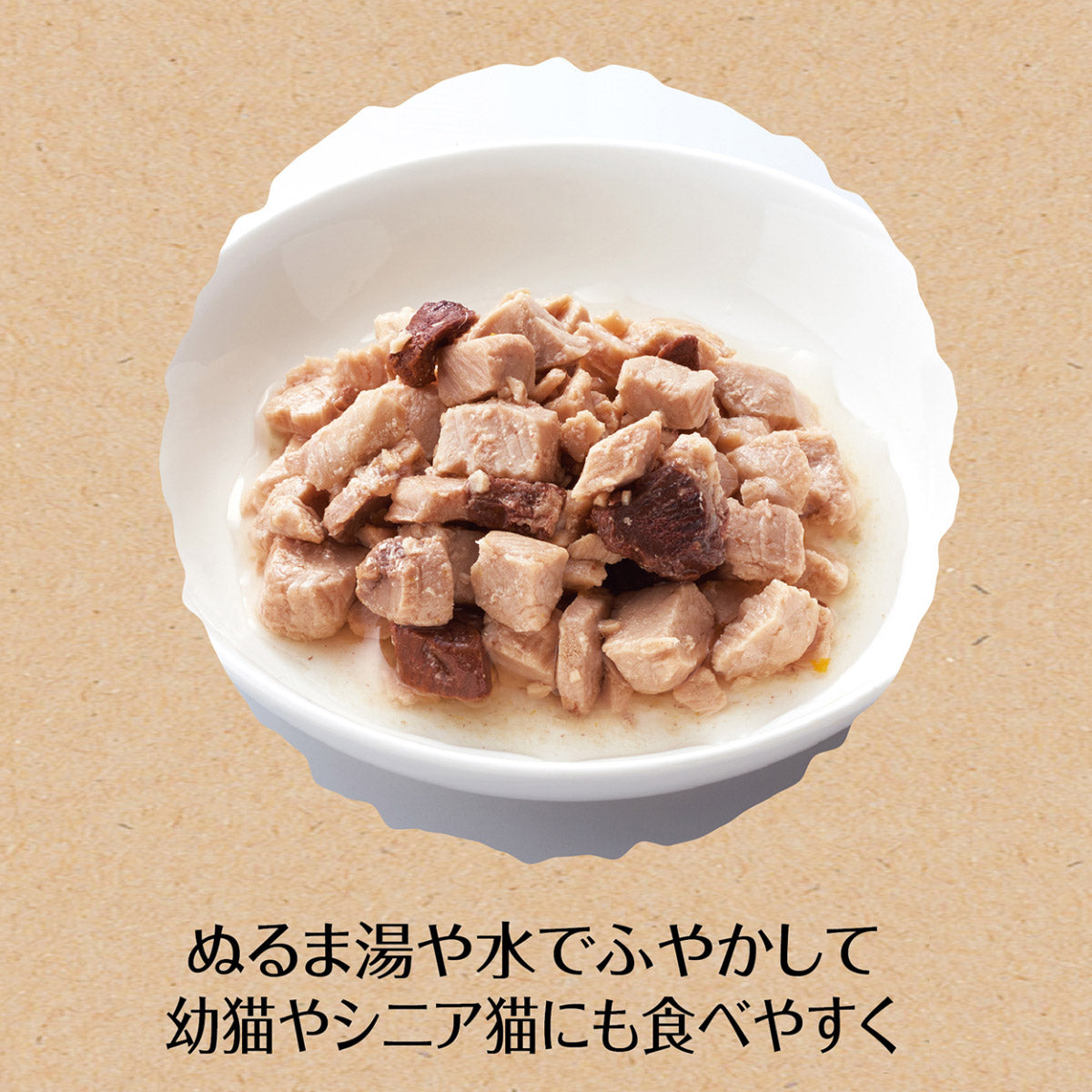 ペティオ 猫用おやつ 素材そのまま ねこちゃんの 完全無添加 フリーズドライ 蒸しサーモン 10g