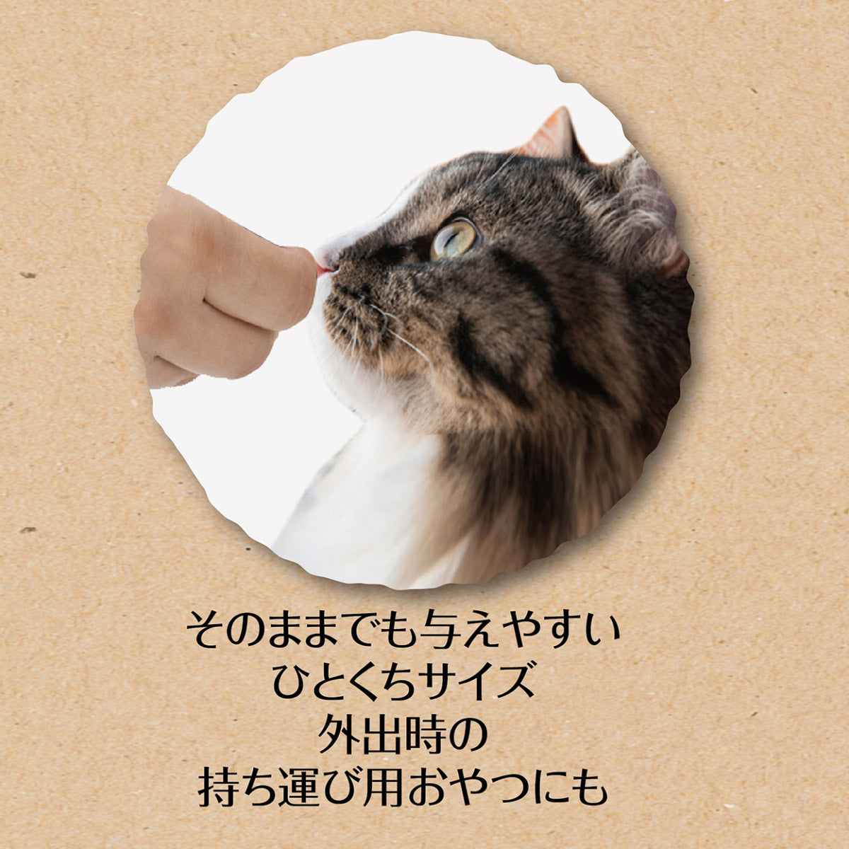 ペティオ 猫用おやつ 素材そのまま ねこちゃんの 完全無添加 フリーズドライ 蒸しササミ 15g