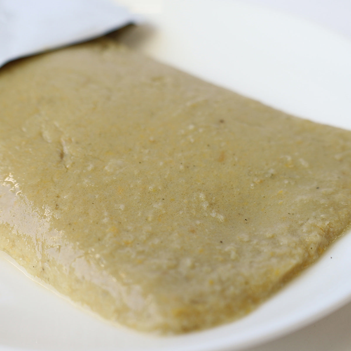 パシュートオブラブ PURSUIT OF LOVE ドッグフード 生いきおとなおいしいごはん 100g