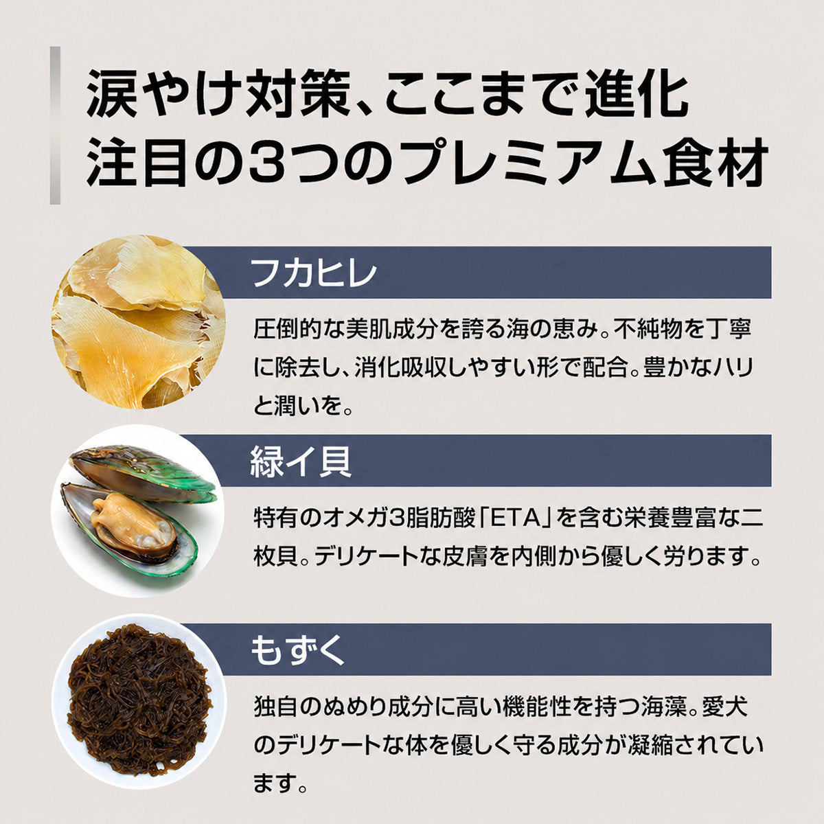PURSUIT OF LOVE パシュートオブラブ ドッグフード 新もりもり ぼくらのげんきごはん 食べきりサイズ 40g