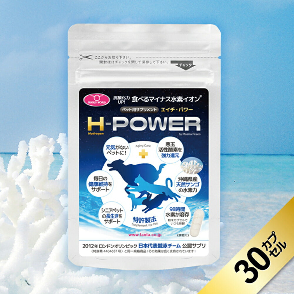 ファンタジーワールド ペット用 栄養補助食品 サプリメント H-POWER エイチ・パワー 30カプセル