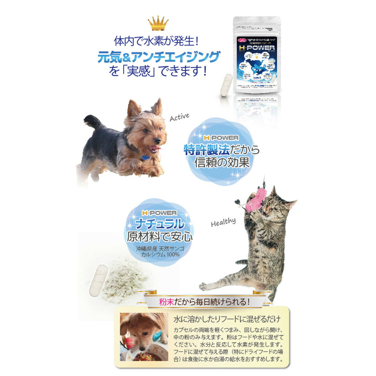 ファンタジーワールド ペット用 栄養補助食品 サプリメント H-POWER エイチ・パワー 30カプセル