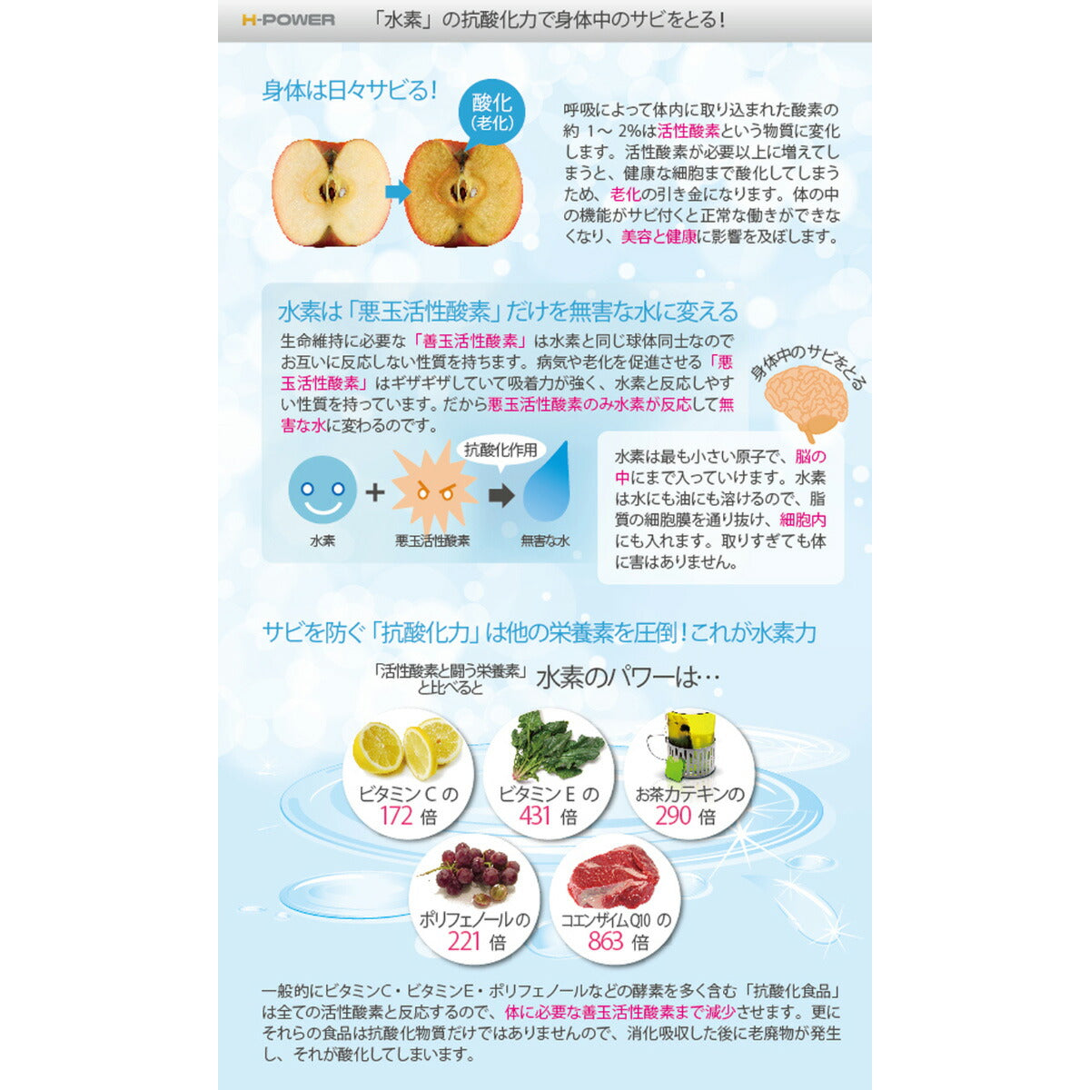 ファンタジーワールド ペット用 栄養補助食品 サプリメント H-POWER エイチ・パワー 30カプセル