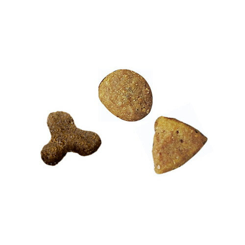 ピュリナワン キャットフード 室内飼い猫用 インドアキャット 1歳以上 サーモン＆ツナ 150g 猫