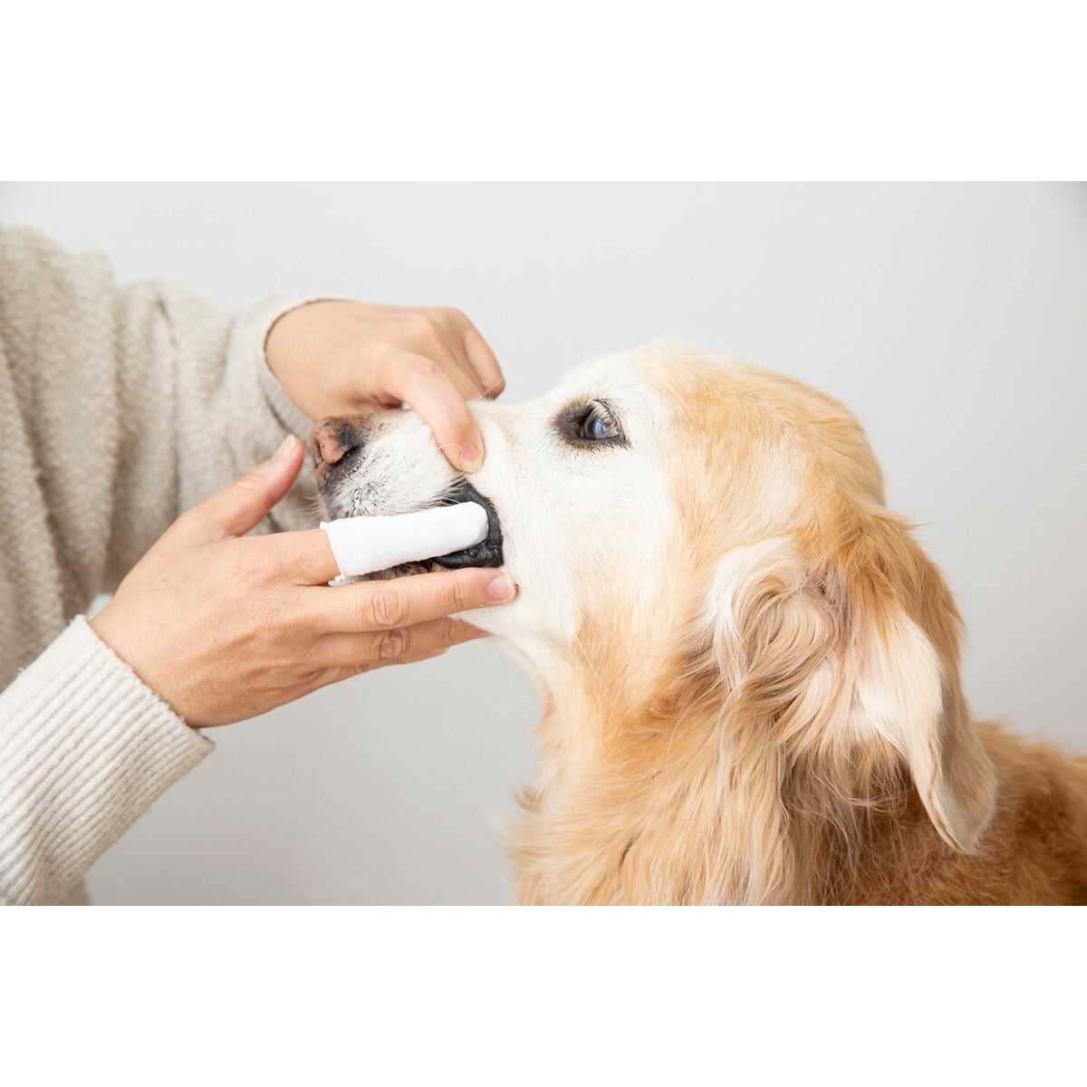 PROMO THERMO プロモサーモデンツ for Pets デンタルミスト 30ml