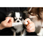 PROMO THERMO プロモサーモデンツ for Pets デンタルミスト 30ml