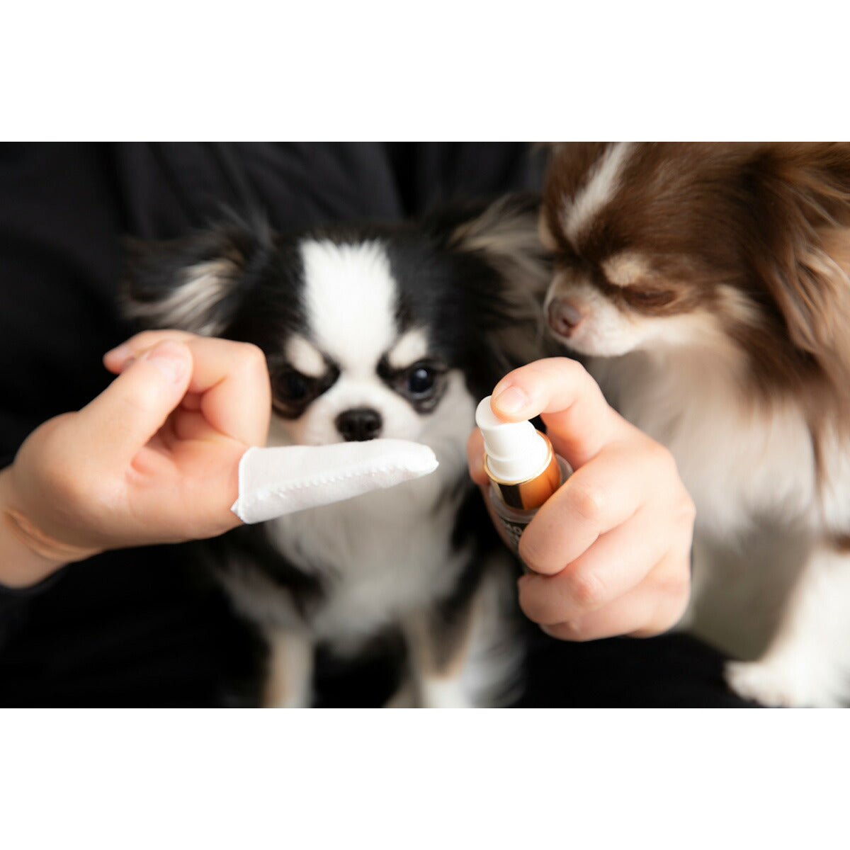 PROMO THERMO プロモサーモデンツ for Pets デンタルミスト 30ml