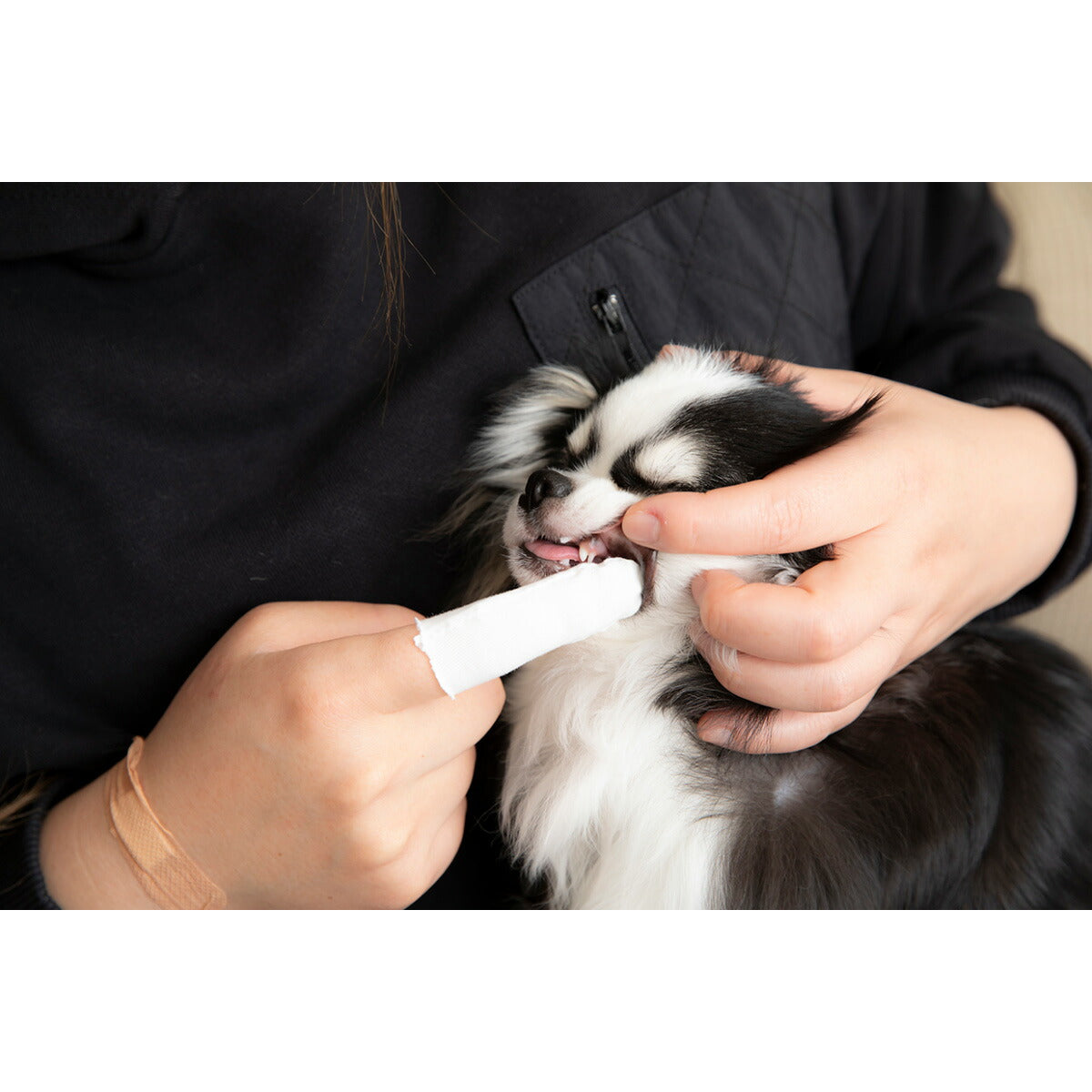 PROMO THERMO プロモサーモデンツ for Pets デンタルミスト 30ml