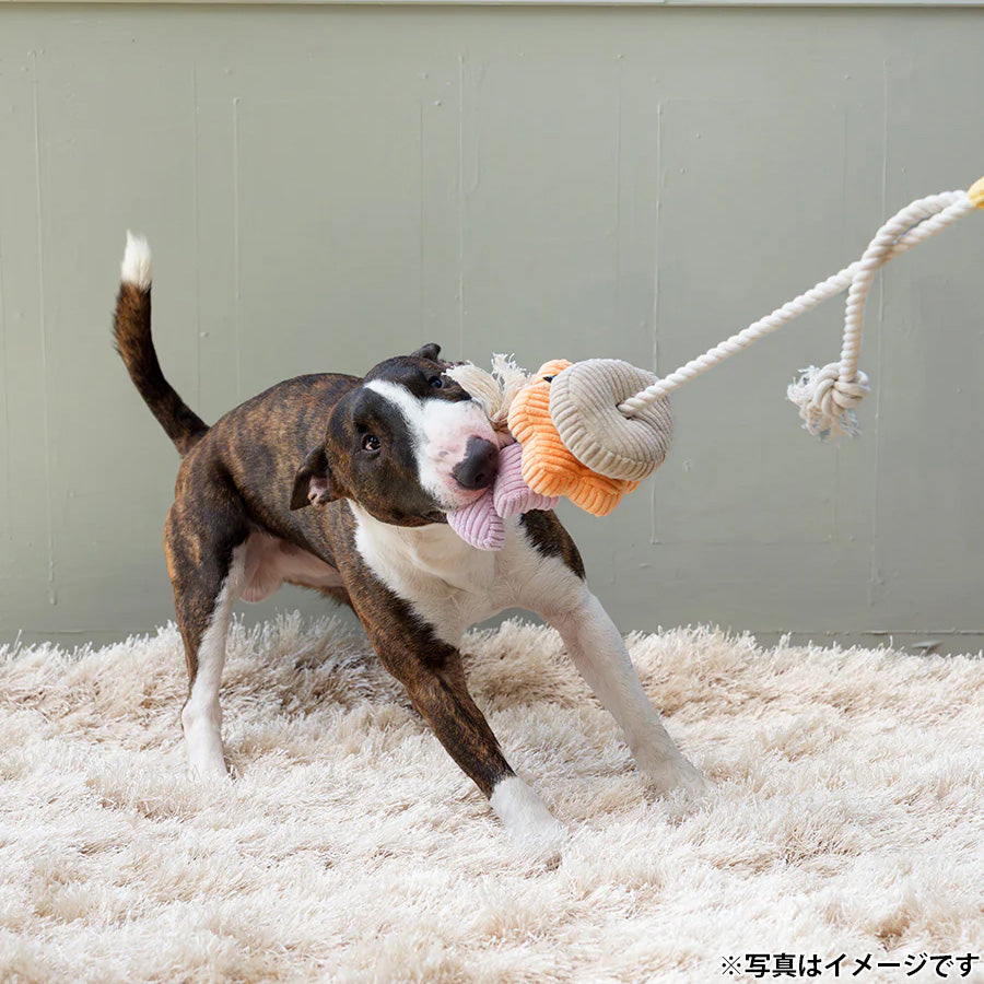 ファッド FAD コーデュロイトイ ロープ バード 犬用おもちゃ