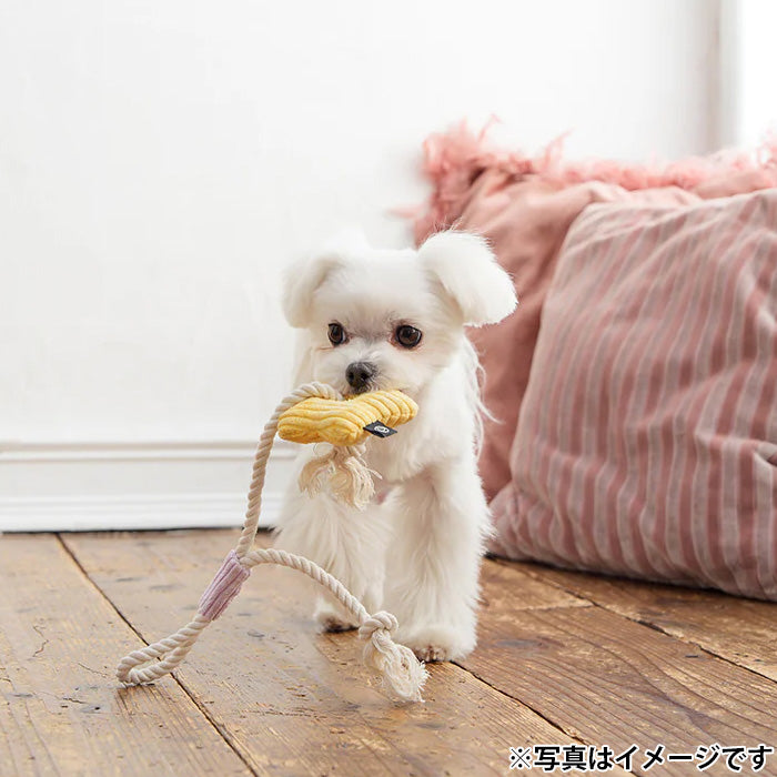 ファッド FAD コーデュロイトイ ロープ スター 犬用おもちゃ