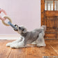 ファッド FAD バリスティック トイ リングチェーン 犬用おもちゃ