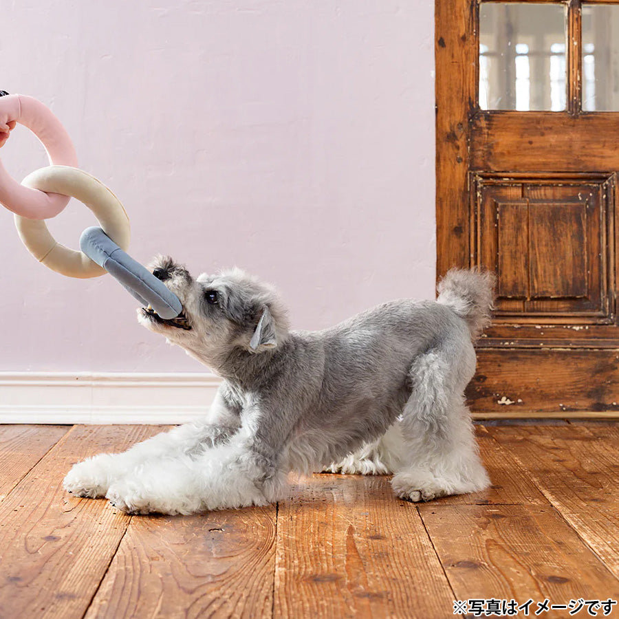 ファッド FAD バリスティック トイ リングチェーン 犬用おもちゃ