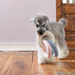 ファッド FAD バリスティック トイ リングチェーン 犬用おもちゃ