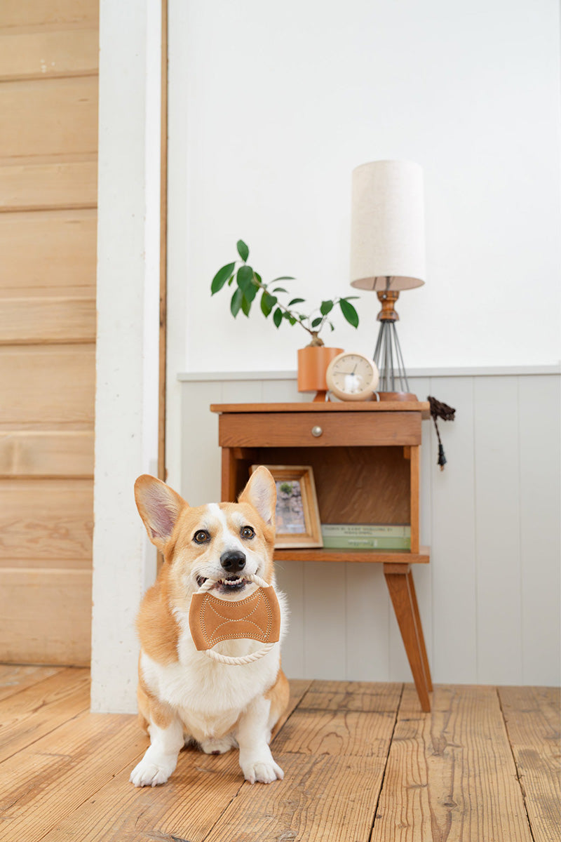 DADWAYPET ダッドウェイペット FAD ファッド レザー＆コットン・トイ ロープディスク 犬用おもちゃ