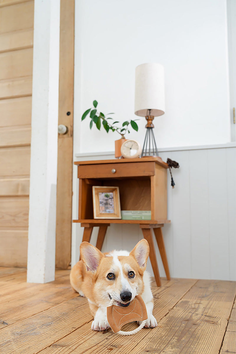 DADWAYPET ダッドウェイペット FAD ファッド レザー＆コットン・トイ ロープディスク 犬用おもちゃ