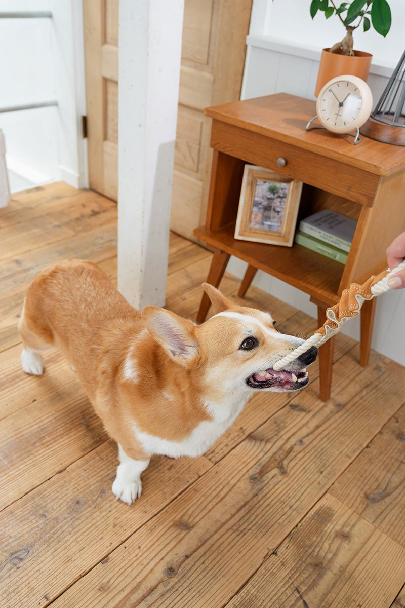 DADWAYPET ダッドウェイペット FAD ファッド レザー＆コットン・トイ ストレッチリング 犬用おもちゃ