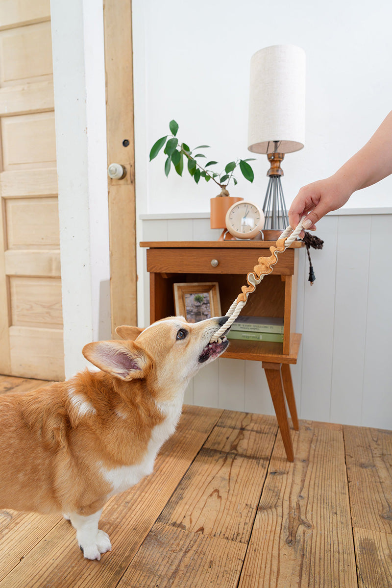 DADWAYPET ダッドウェイペット FAD ファッド レザー＆コットン・トイ ストレッチリング 犬用おもちゃ