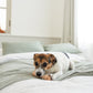 DADWAYPET ダッドウェイペット FAD ファッド レザーボーン 犬用おもちゃ M