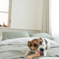 DADWAYPET ダッドウェイペット FAD ファッド レザーボーン 犬用おもちゃ L