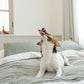 DADWAYPET ダッドウェイペット FAD ファッド レザーボーン 犬用おもちゃ L