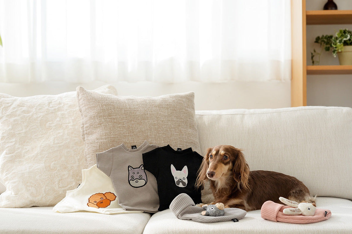 ダッドウェイペット ファッド FAD ノーティードッグ・トイ ソックス ラビット 犬のおもちゃ