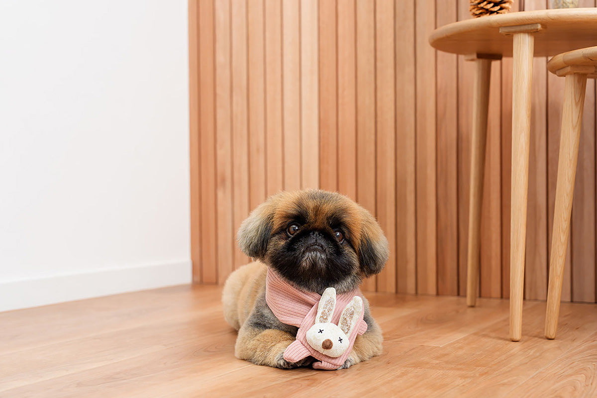 DADWAYPET ダッドウェイペット FAD ファッド ノーティードッグ・トイ マフラー ラビット 犬用おもちゃ