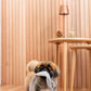 DADWAYPET ダッドウェイペット FAD ファッド ノーティードッグ・トイ マフラー ベア 犬用おもちゃ