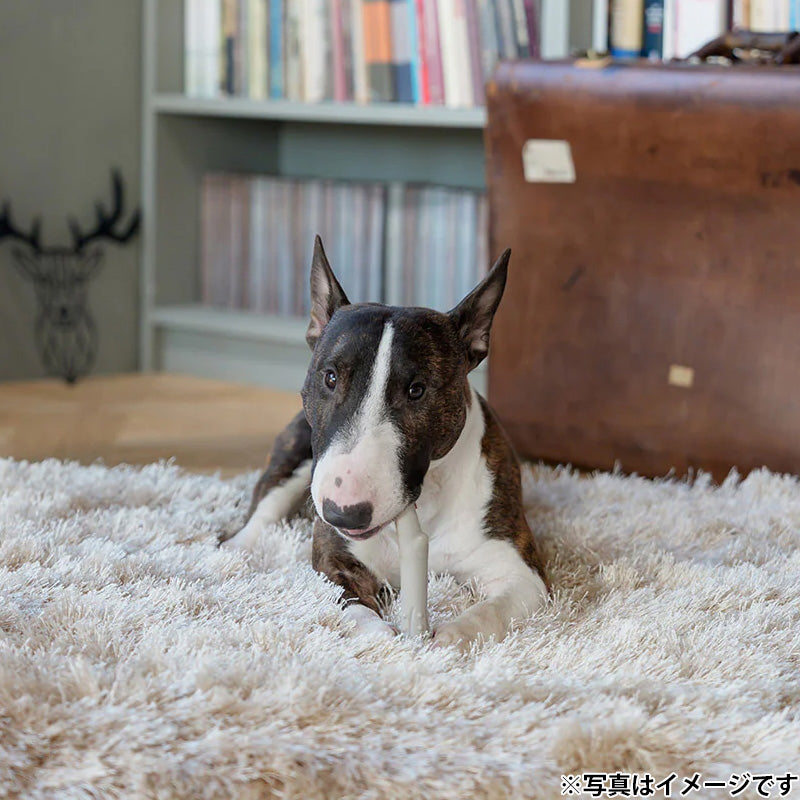 ファッド FAD デンタルトイ ディアーホーン 犬用おもちゃ M